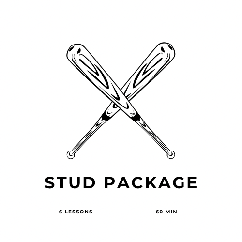 Pro Lesson Package (6)